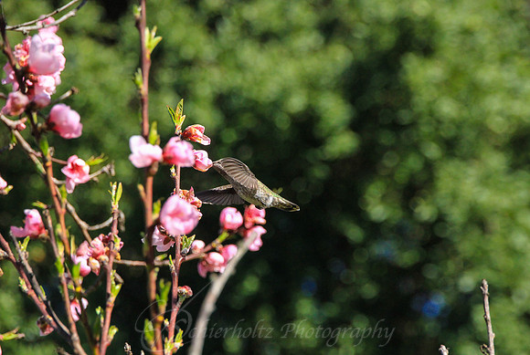 5-12