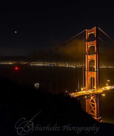 IMG_3318-10