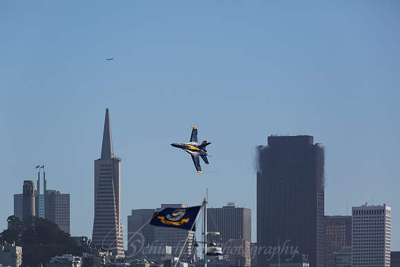 C29A9036