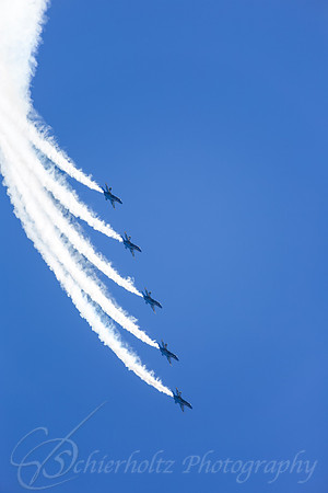 C29A9255