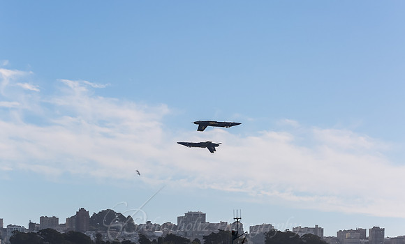 C29A9275