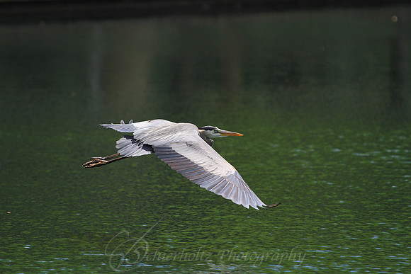 IMG_7663-2-2