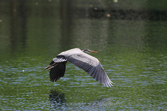 IMG_7666-2-2
