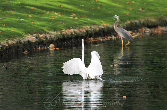 IMG_9576-2-2