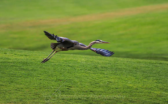 IMG_9482-2