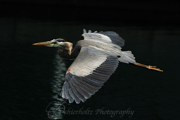 IMG_7708-2-4