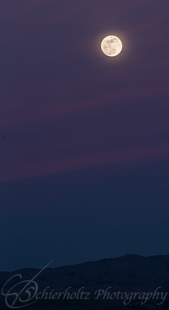 C29A1074-3