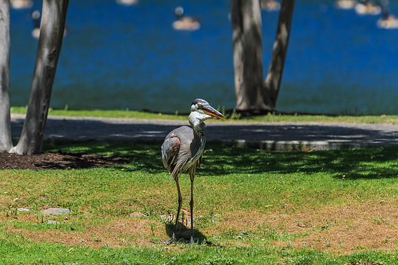 IMG_3144-2-2