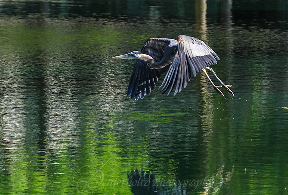 IMG_4277-2-2