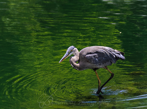 IMG_9610-2-2