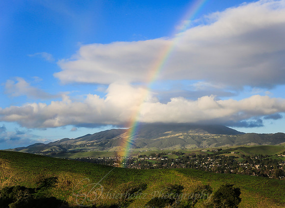 Rainbow 2-3-2019