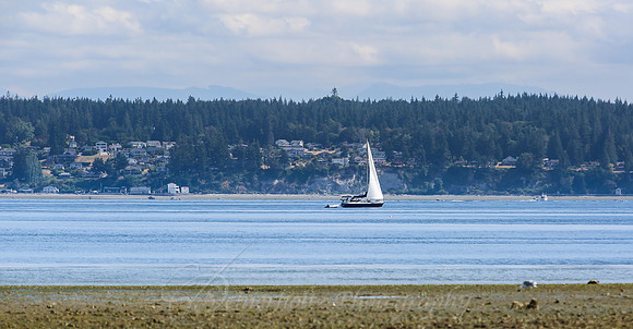 IMGL1391